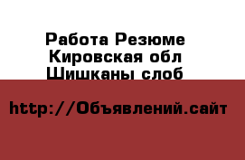 Работа Резюме. Кировская обл.,Шишканы слоб.